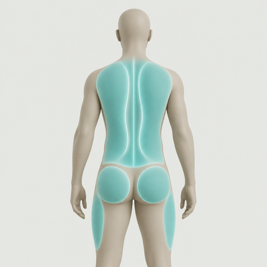 Illustration showing areas where Movelio Bed Roller may be used: full back, glute muscles and outer thighs.